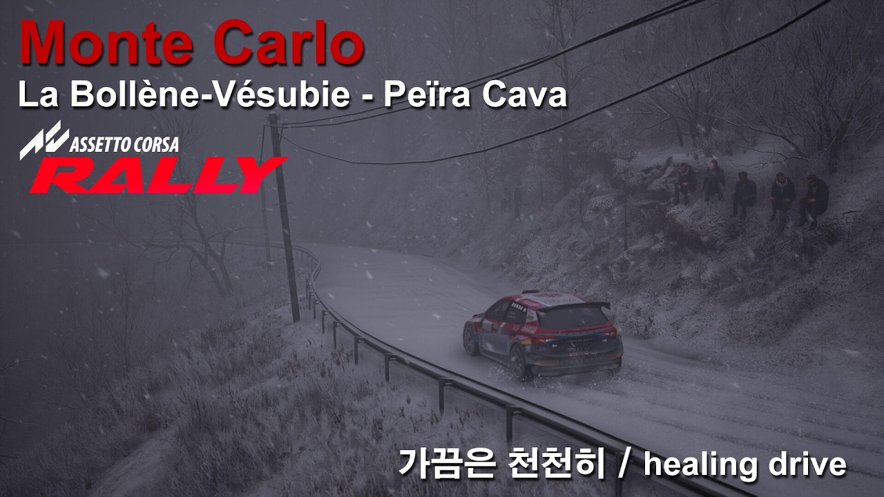 POV : Assetto Corsa RALLY 0.3 / healing drive