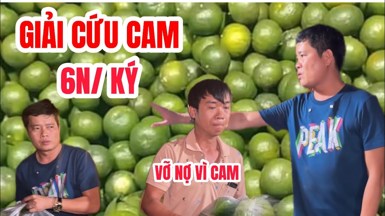 Khương Dừa hỗ trợ bán cam giúp bà con Vĩnh Long vì rẻ như cho mà không ai mua
