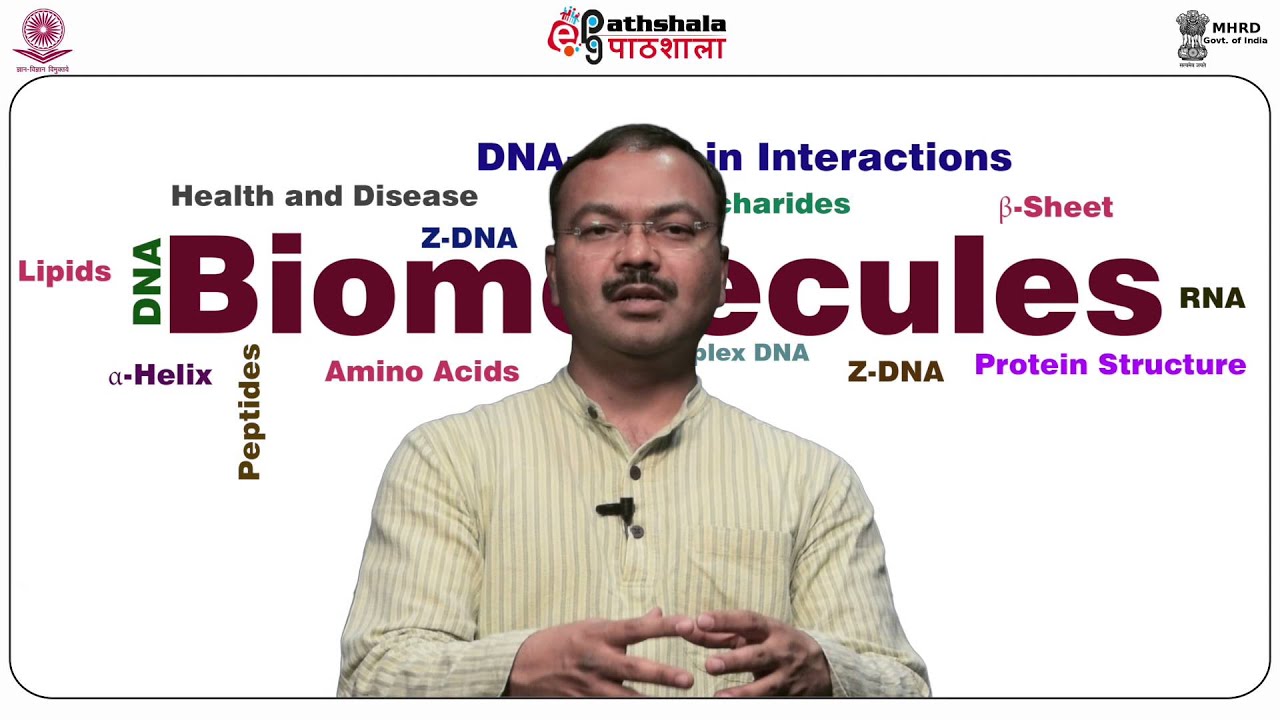 Protein-protein interactions with examples