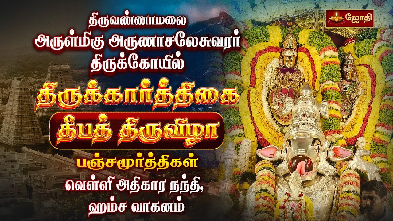 திருவண்ணாமலை அருள்மிகு அருணாசலேசுவரர் திருக்கோயில் திருக்கார்த்திகை தீபத்திருவிழா அதிகார நந்தி
