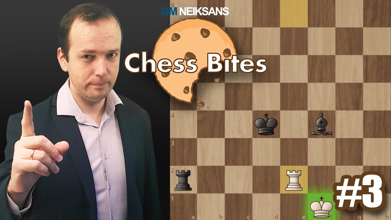 Как рисовать ладью против ладьи и слона (Chess Bites #3)