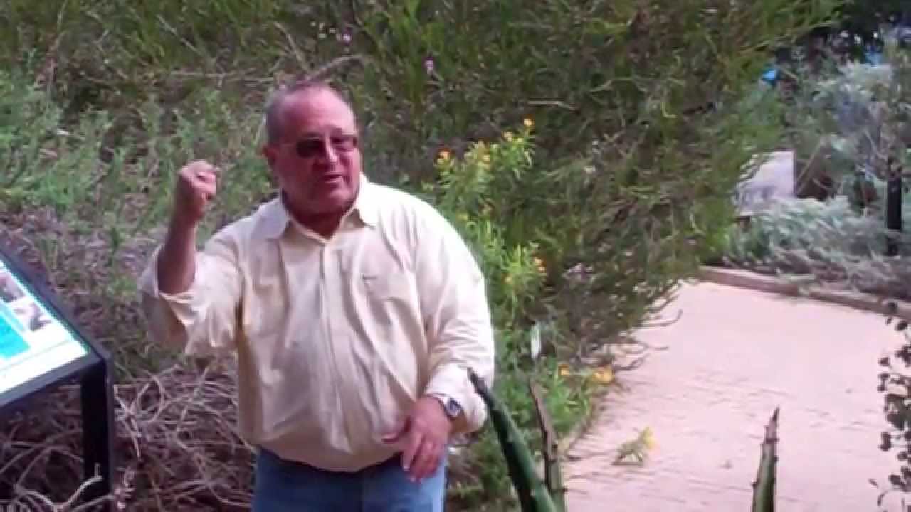 Chemical  Vs  Organic Fertilizer