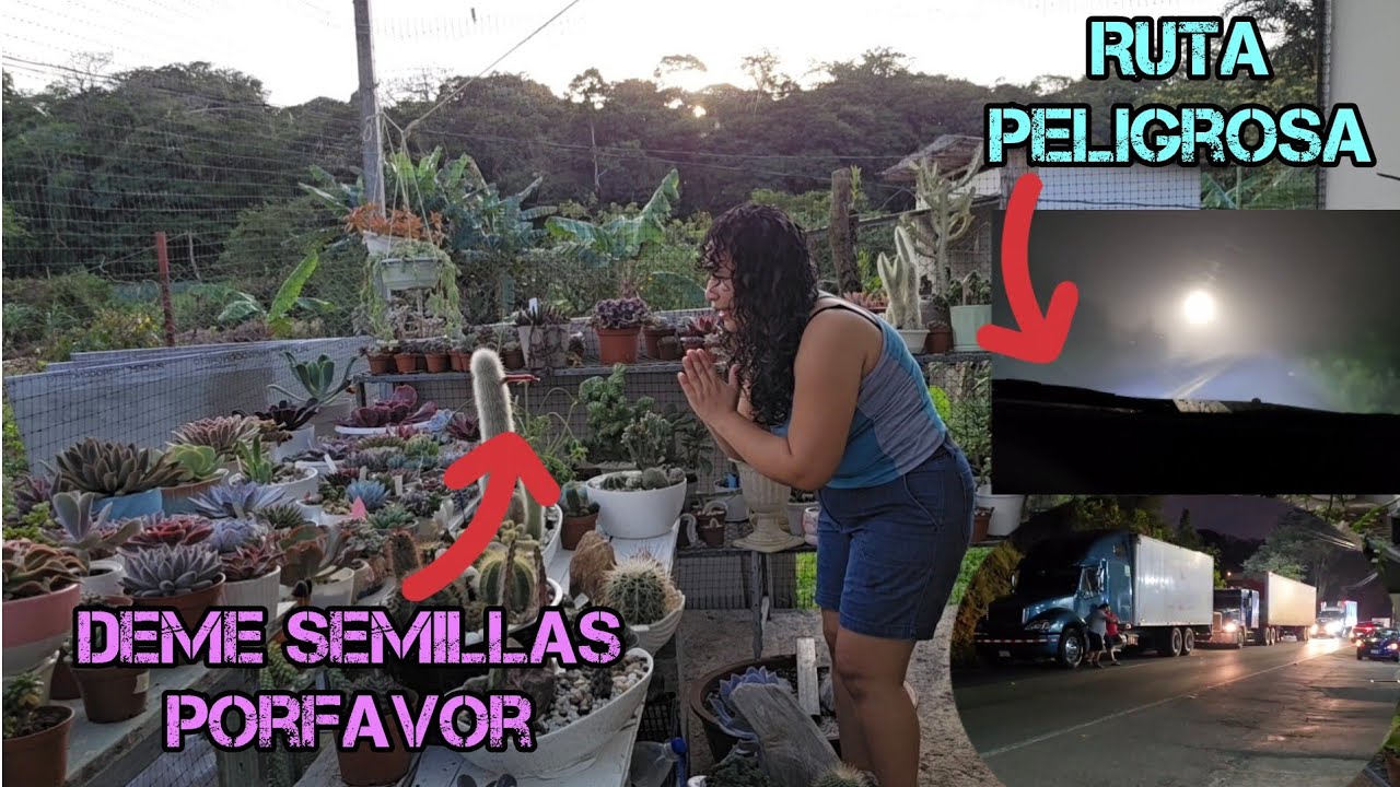 Vlogs del jardín y la casa / Un camión cisterna con combustible vuelca y no dejan pasar Carros