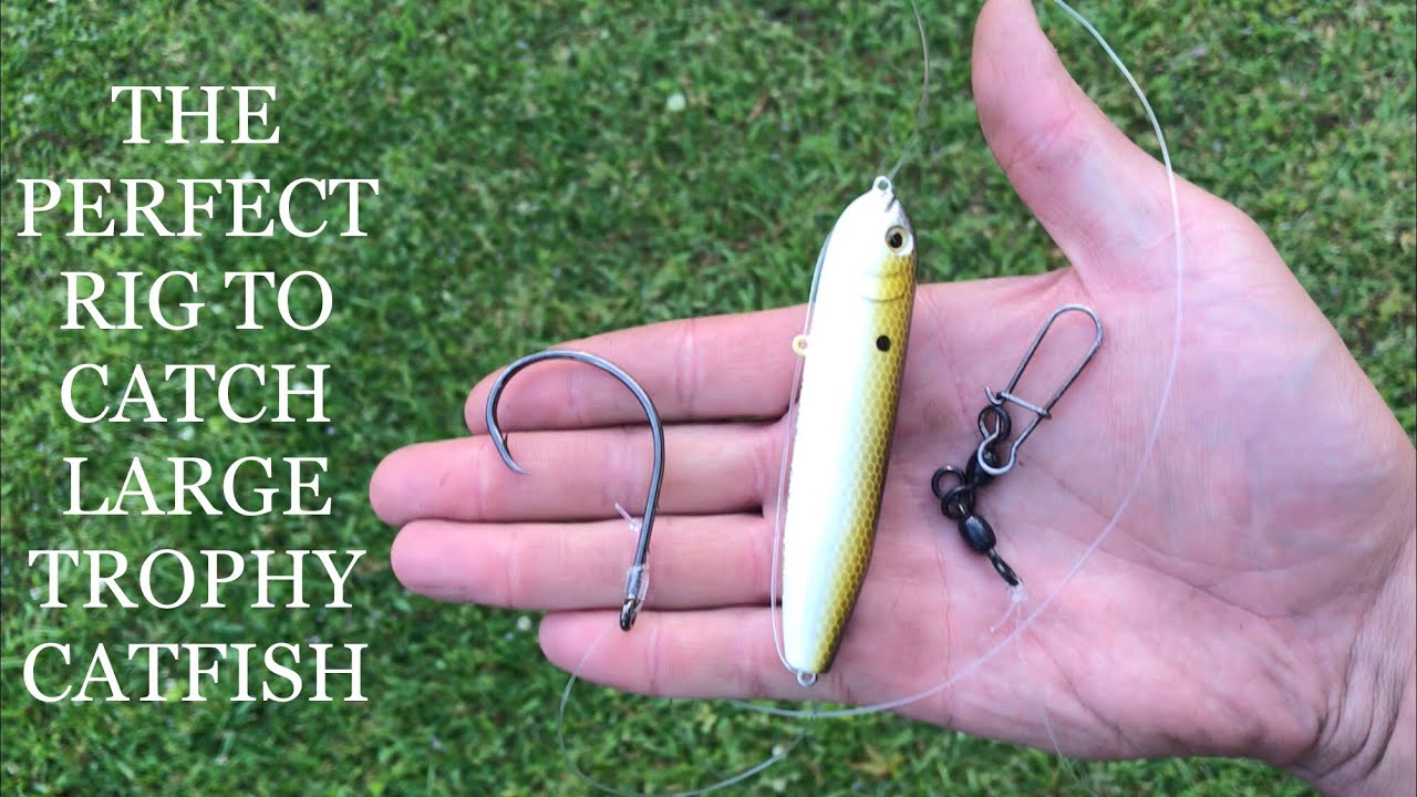 How to make the perfect catfish rig