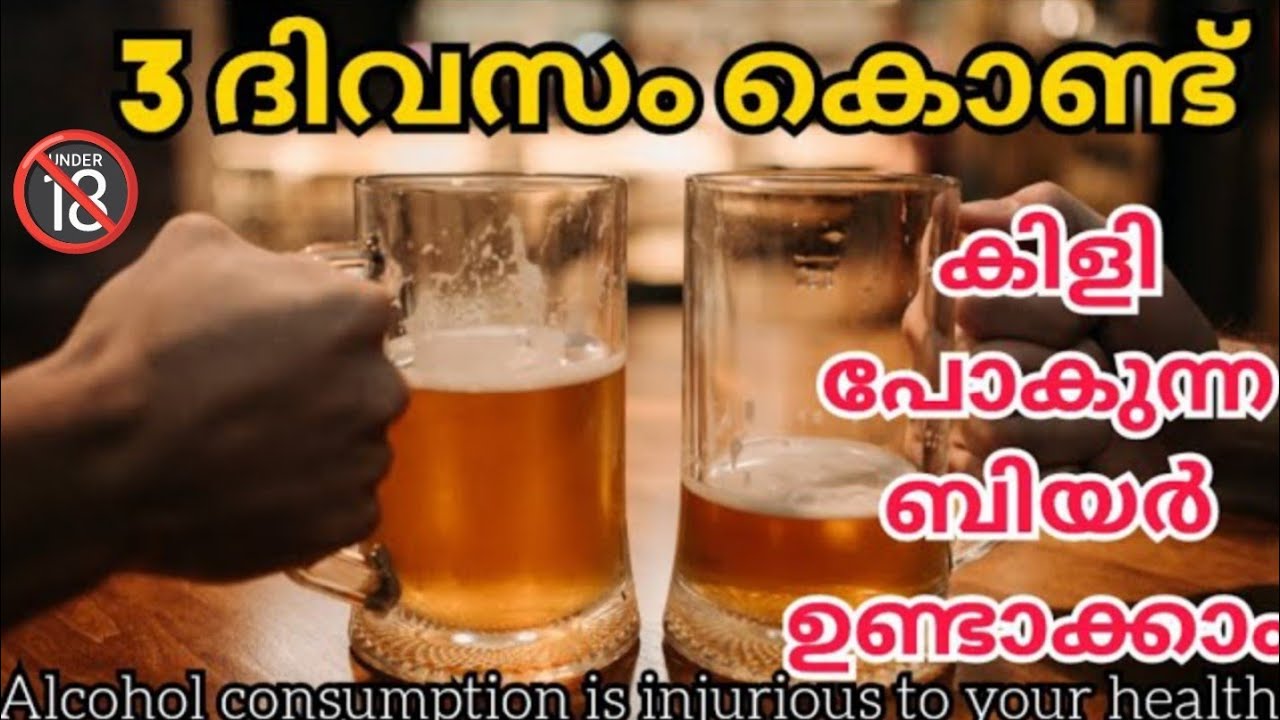 അടിച്ചാൽ കിറുങ്ങുന്ന ബിയർ ഉണ്ടാക്കി l How to make strong beer   at home with in three days