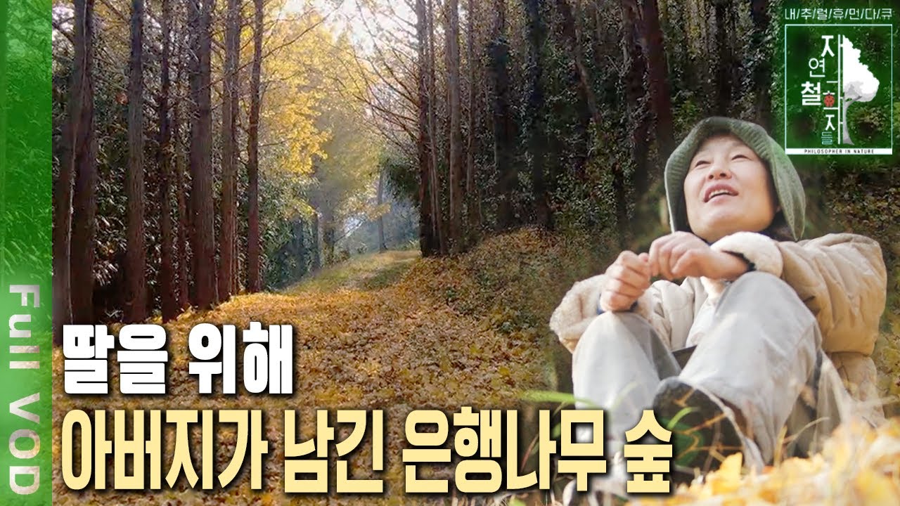 20년 도시생활 접고 귀향한 딸을 품어준 아버지와 은행나무 숲!  [자연의 철학자들 KBS 20211231 방송]