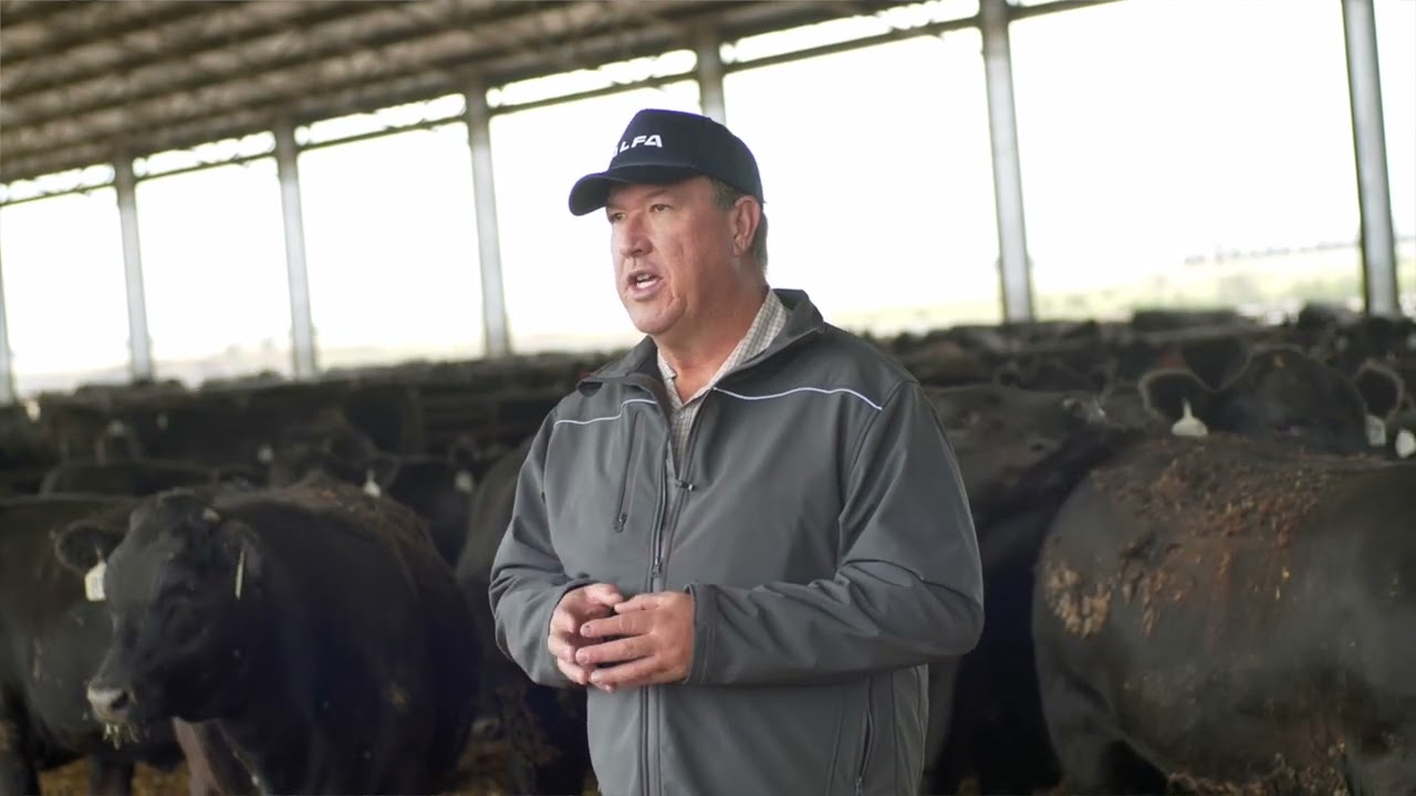 Deciding on the best shade system for your operation
