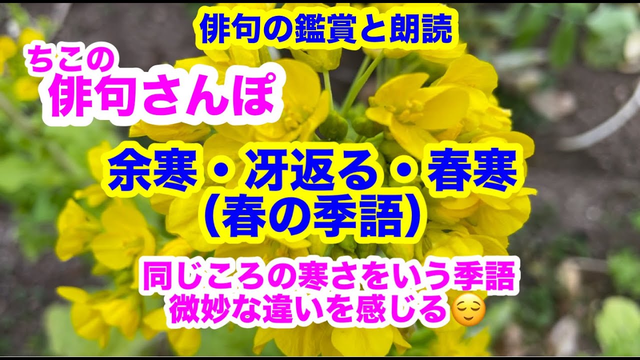 【俳句さんぽ・第162回】余寒・冴返る・春寒（春の季語）同じ頃の寒さを表現する季語、微妙な違いを感じる！