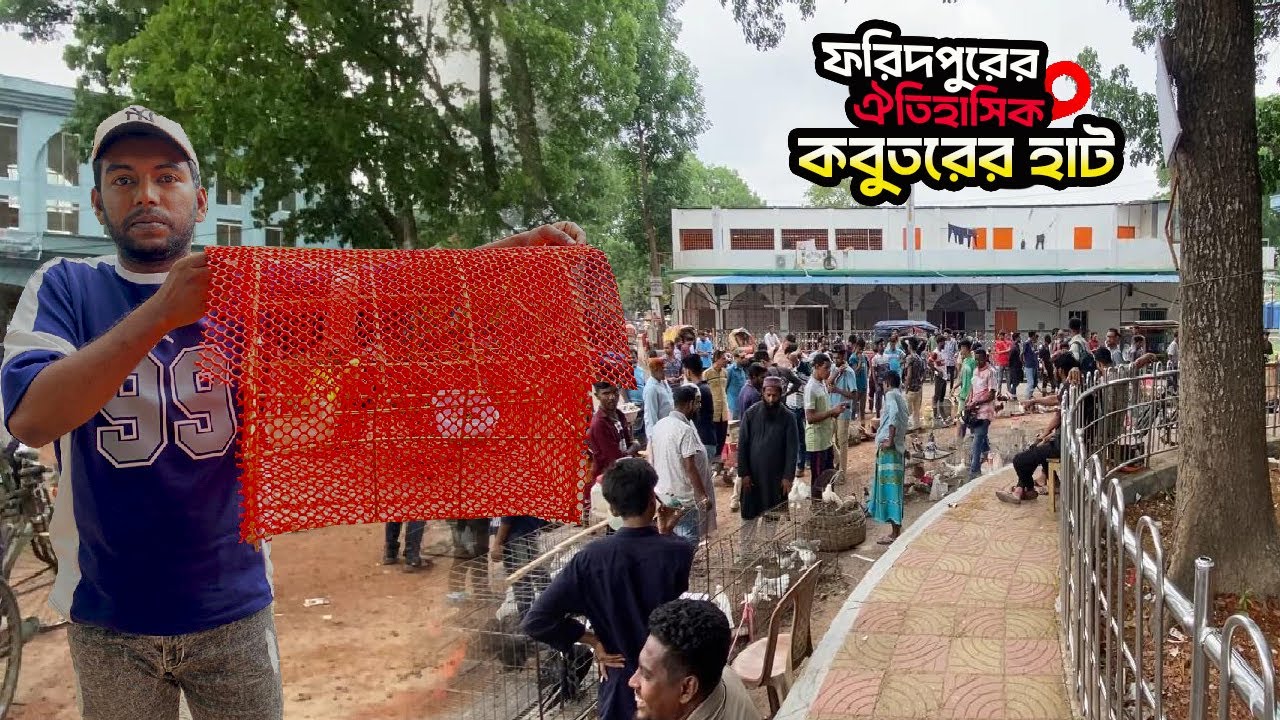 ঐতিহ্য ও শৌখিনতার মিলনস্থল ফরিদপুরের কবুতরের হাট | Kabootar market | Faridpur | Daily Vlog By Raj |
