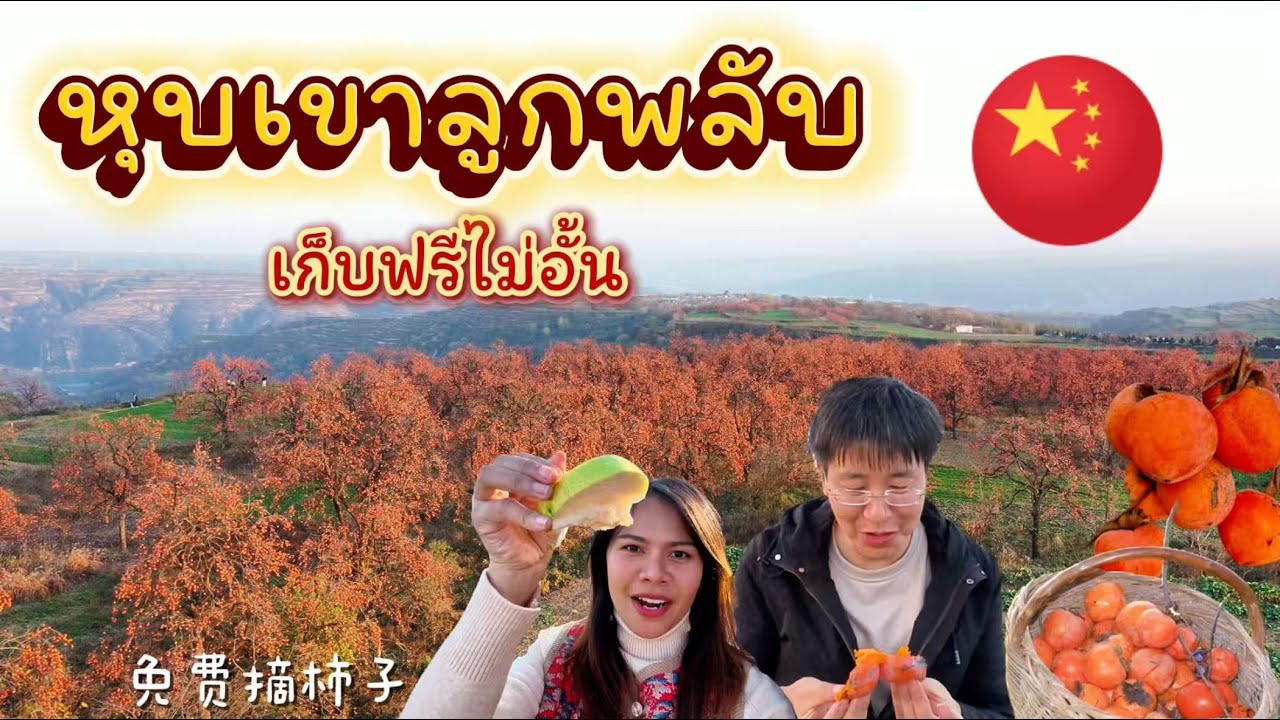 ชีวิตในจีน EP.46 l หุบเขาสีส้มที่เต็มไปด้วยลูกพลับและมื้อค่ำแซ่บๆข้างทาง