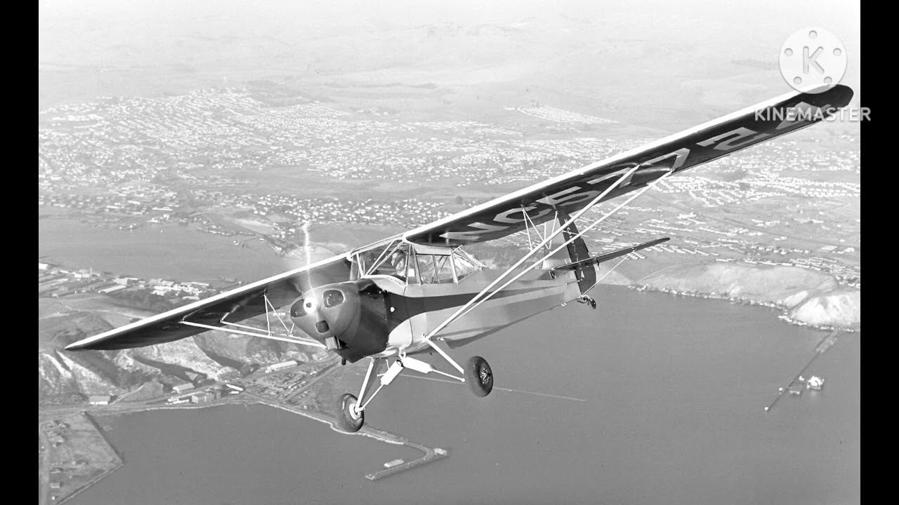 How This 65HP 'Grasshopper' Landed on a Dime in WW2 
