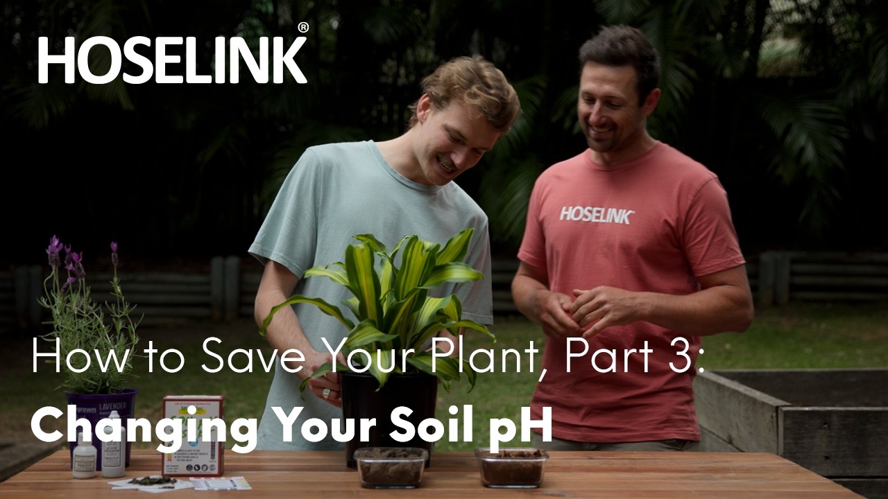 Как спасти растение, часть 3: Изменение pH почвы | Garden Starters | Эпизод 3 🌿