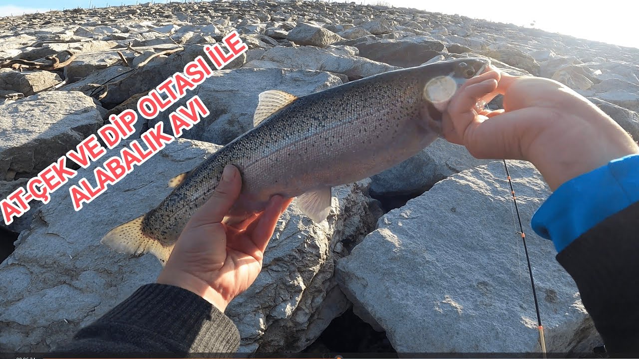 Alabalık Avı/At Çek Ve Dip Oltası İle Alabalık Avı,Barajda Balık Avı.