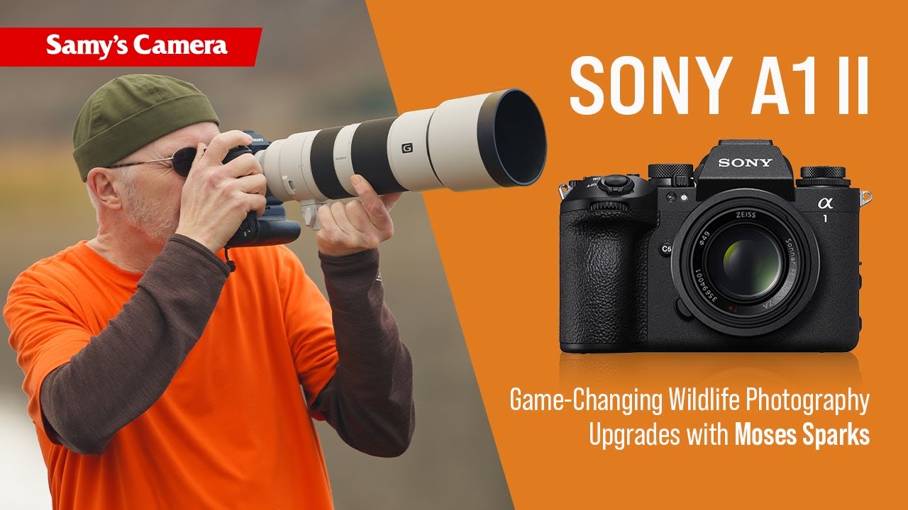 Sony α1 II vs. α1: Game-Changing Wildlife Photography Upgrades w/ Moses Sparks