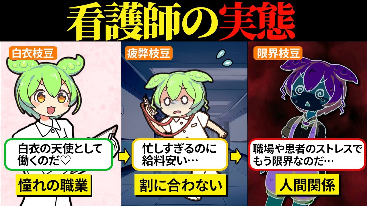 看護師になってみたら割に合わなすぎて後悔したのだ…【ずんだもん＆ゆっくり解説】