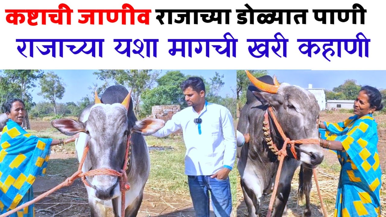 राजा आणि काकी एक अतूट नात 