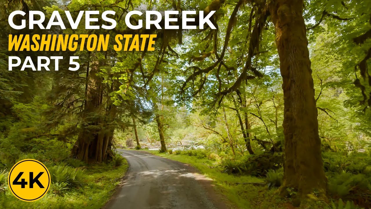 Exploring Graves Creek at Indoor Cycling & Treadmill Workout - 4K Forest Road Background Video - #5