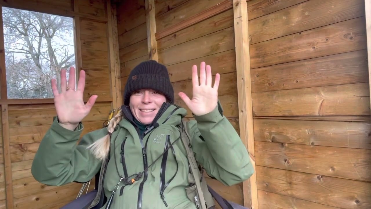 Gundog Training : Introduction to memory retrieves!! Episode 27