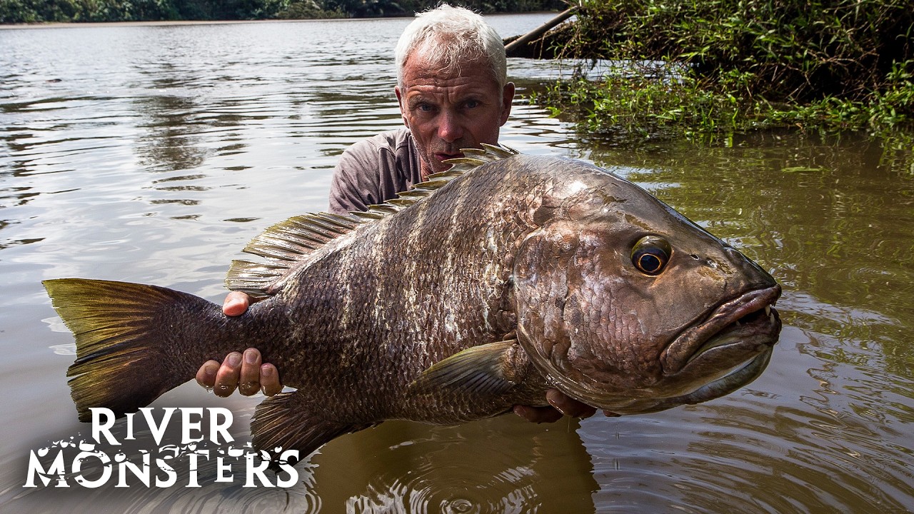 The BIGGEST FISH caught in Season 9 of River Monsters