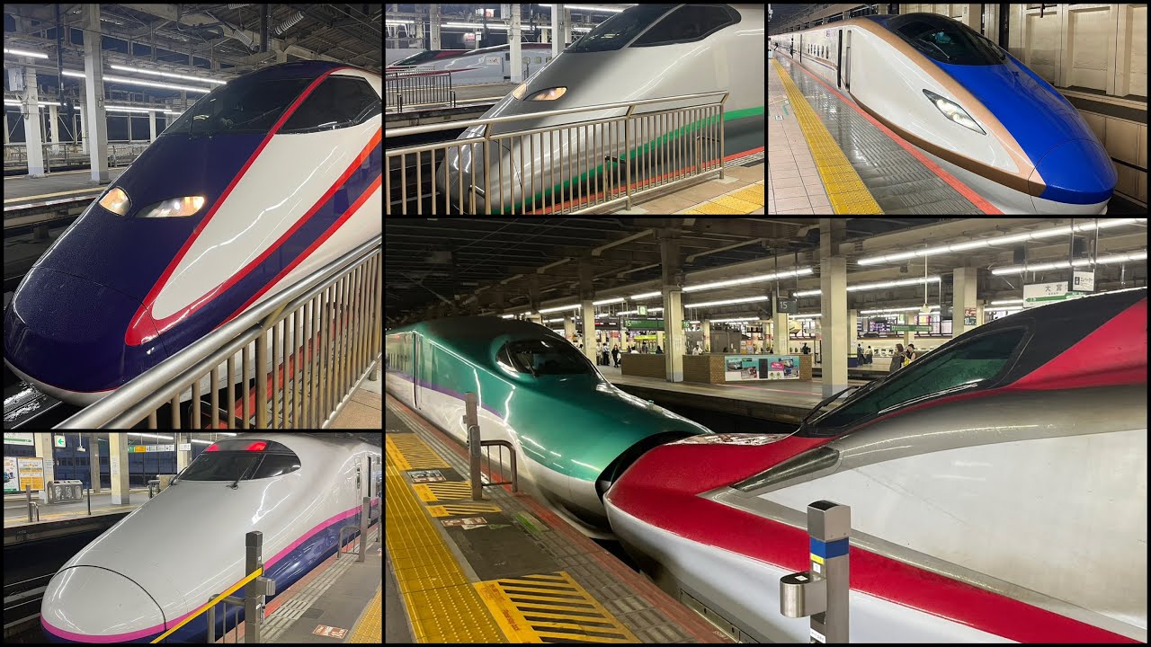【〜新幹線〜】 大宮駅で沢山新幹線を撮影してみた📸🚄はやぶさ こまち つばさ かがやき