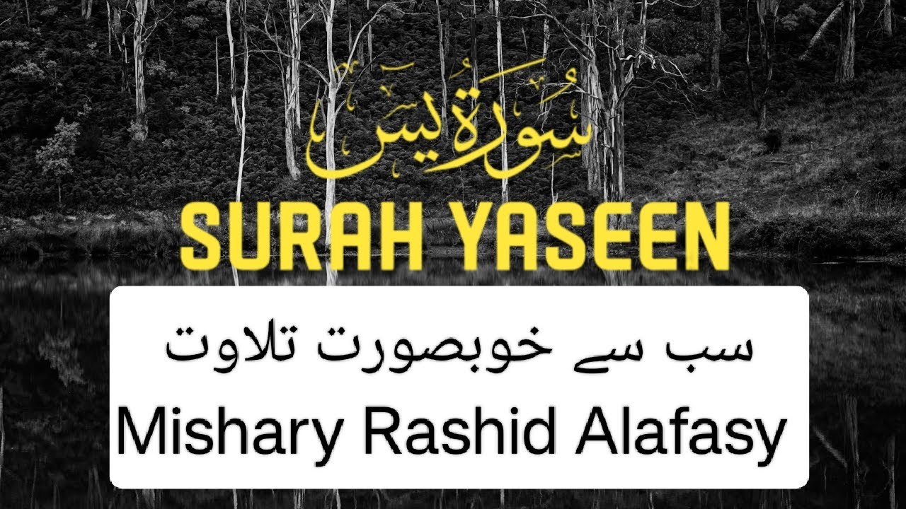Surah Yaseen|Misharay Rashid Alafasy|Beautiful Recitation