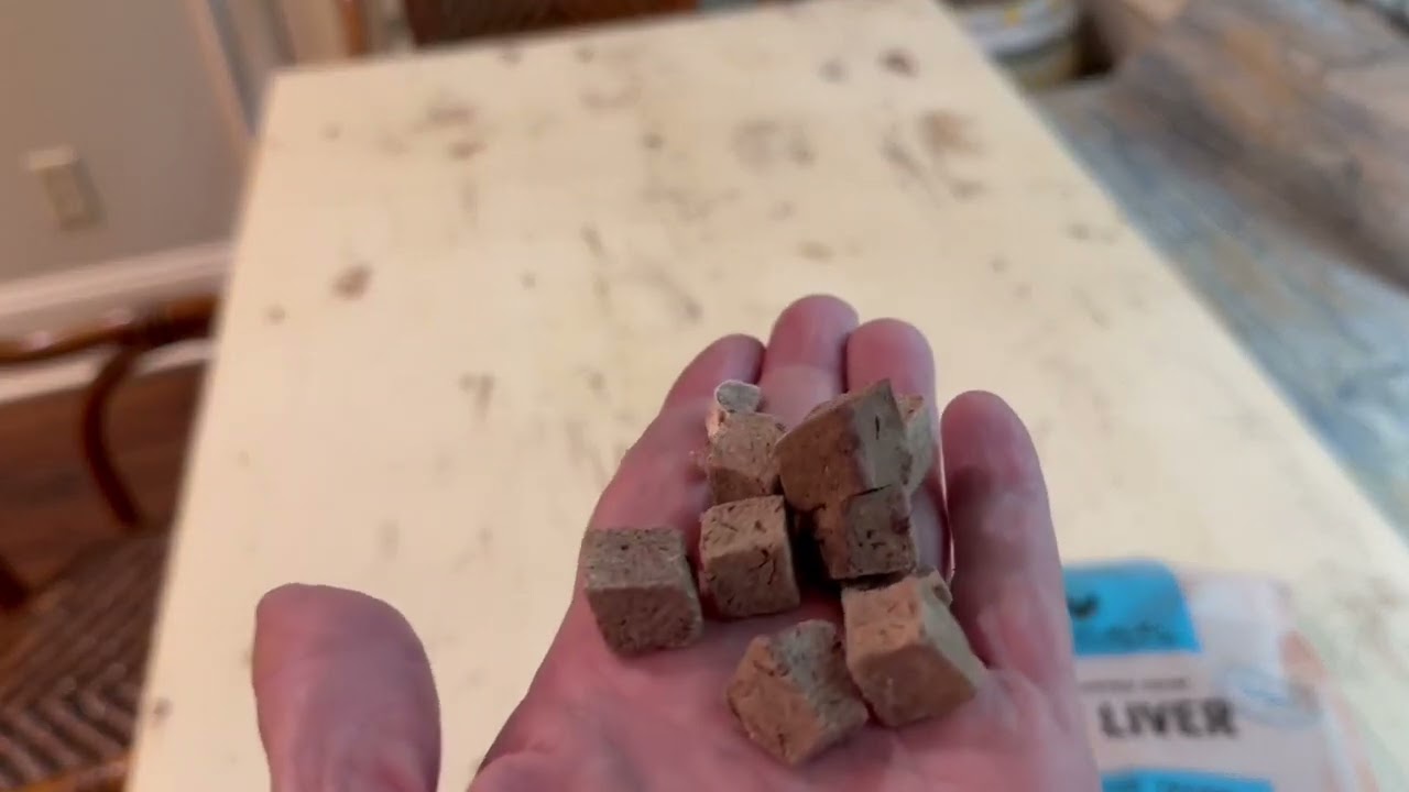 Vital Essentials Single Ingredient Beef Liver Dog Treats, Training dog made easy with Vital Essentia