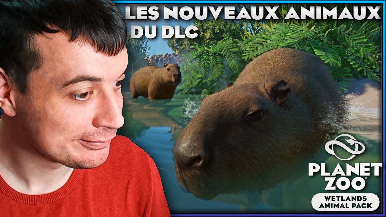 Aper&ccedil;u des Animaux du Nouveau DLC | PLANET ZOO WETLANDS ANIMAL PACK