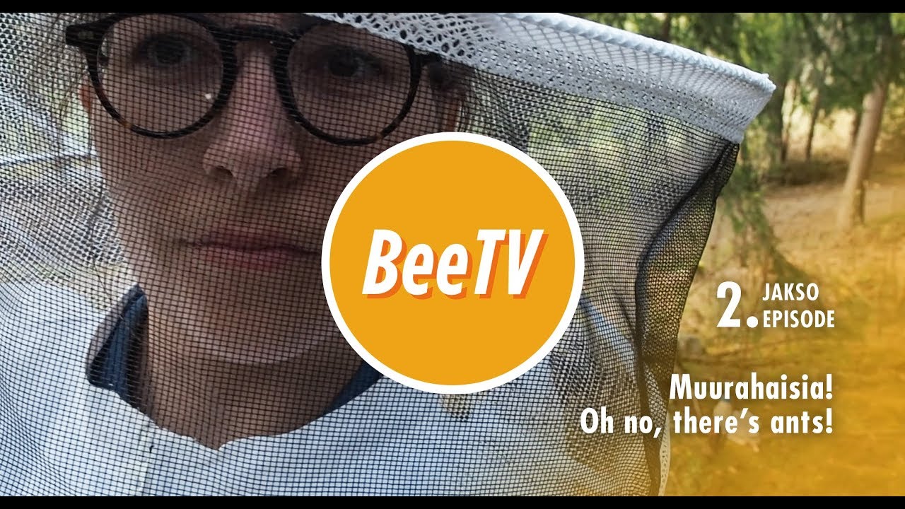 EPISODE 2: Muurahaisia! &ndash; Oh no, there's ants!