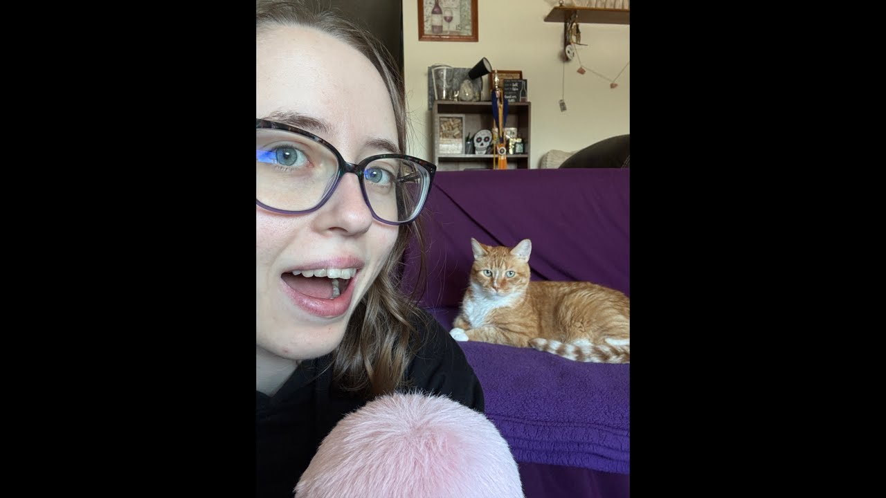 Sound Assortment ASMR Livestream!
