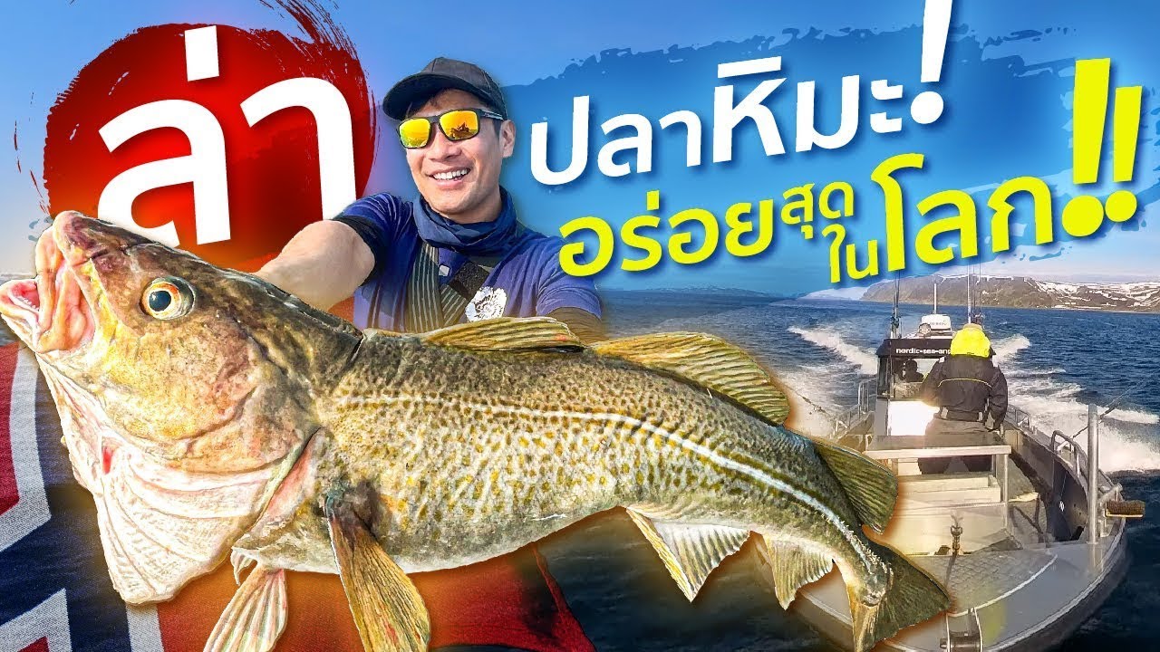 ล่าปลาหิมะ ทะเลไวกิ้ง ที่เขาว่าอร่อยที่สุดในโลก! แต่เจอปลาหายากที่อร่อยกว่า!? [สาระตั้ม-Thumbntk]