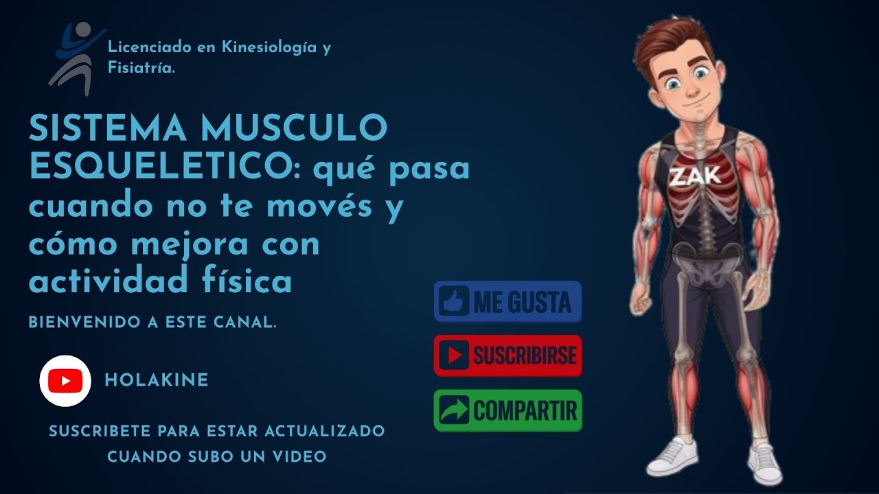 SISTEMA MUSCULO ESQUELETICO:  qué pasa cuando no te movés y cómo mejora con actividad fisica.