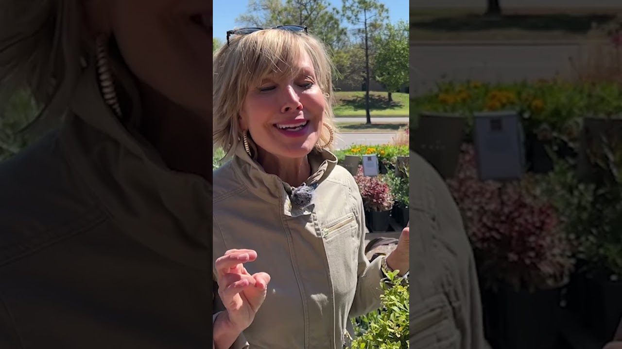 @potagerblog with excellent plant pairing tips! 🎨