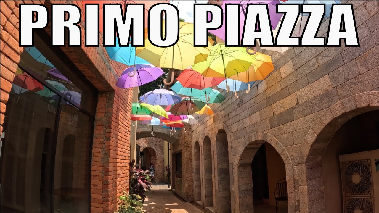 Fun Family Day! Primo Piazza Khaoyai with Cute Animals (พรีโม เพียซซ่า เจอแกะ ม้า อัลปาก้าสุดน่ารัก)