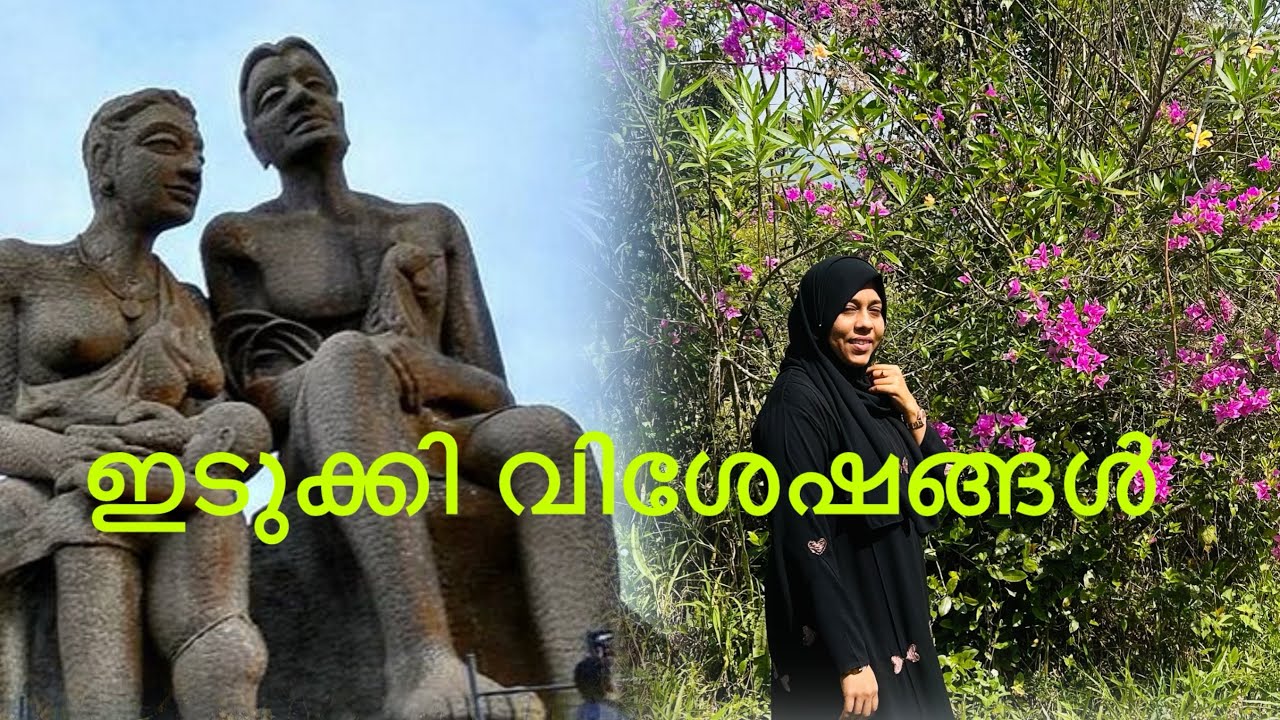 ഇടുക്കിയിലുള്ള പ്രിയപ്പെട്ട കസ്റ്റമർ ജമീല ഇത്തയുടെ വീടും റിസോർട്ടും വിശേഷങ്ങളും കാണാം...☺️