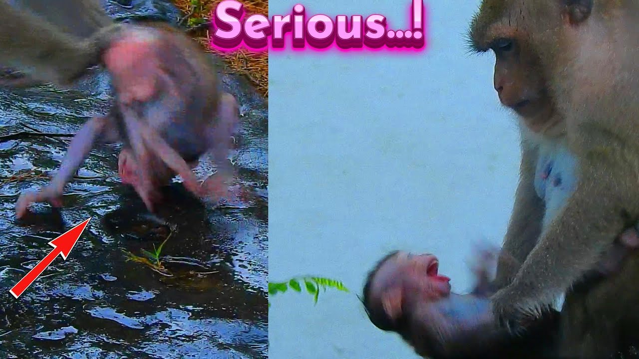Painful Heart! Poor baby's Head Really Hit Hard Rock Seriously Cos Wrong Skill Training...!