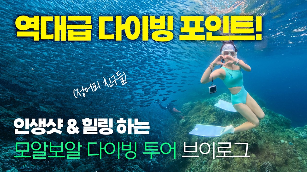 모알보알, 여긴 진짜 미쳤다! 모알보알 다이빙투어 브이로그😎 ep.1 #다이빙투어 #메르 #여행브이로그