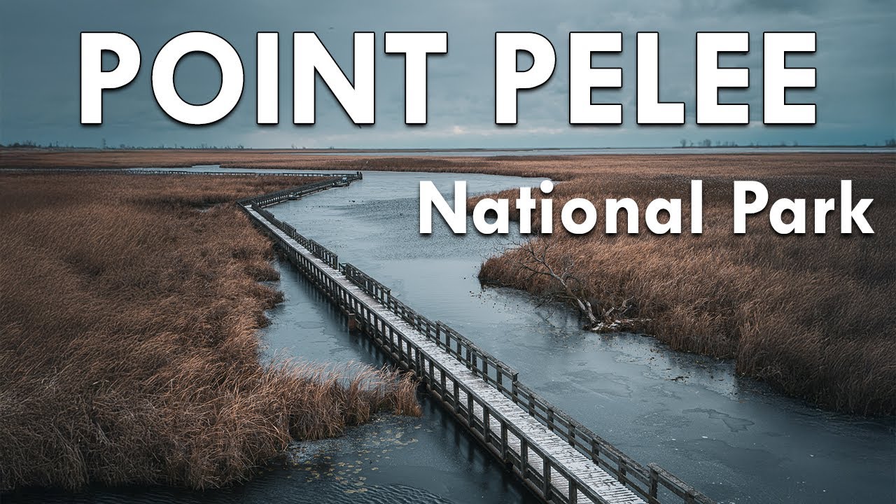 Point Pelee National Park: Exploring Canada&rsquo;s Southernmost Point 🇨🇦