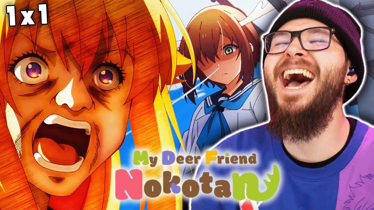 THIS SHOW IS CRAZY!! | My Deer Friend Nokotan Episode 1 Reaction! 日本語字幕付き | 「しかのこのこのここしたんたん」