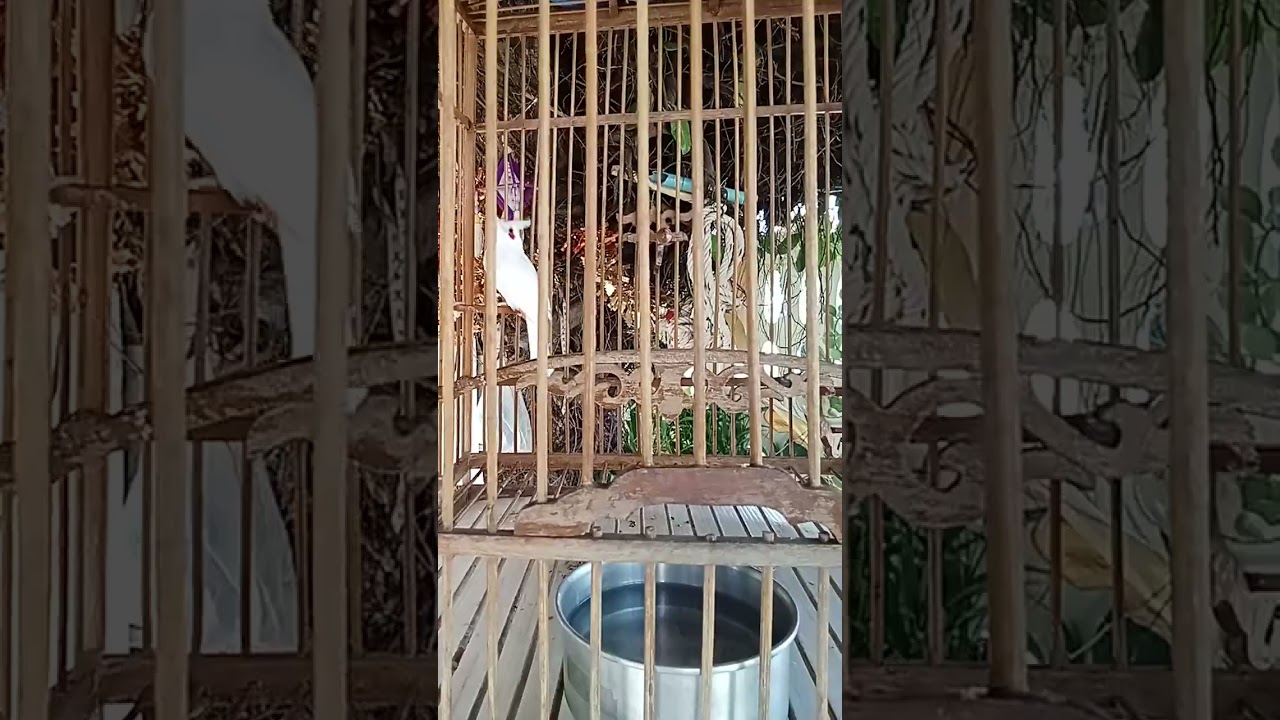 21 ตุลาคม ค.ศ. 2024