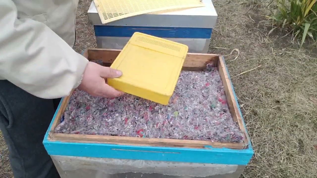 353.Completare cu turtă proteică.