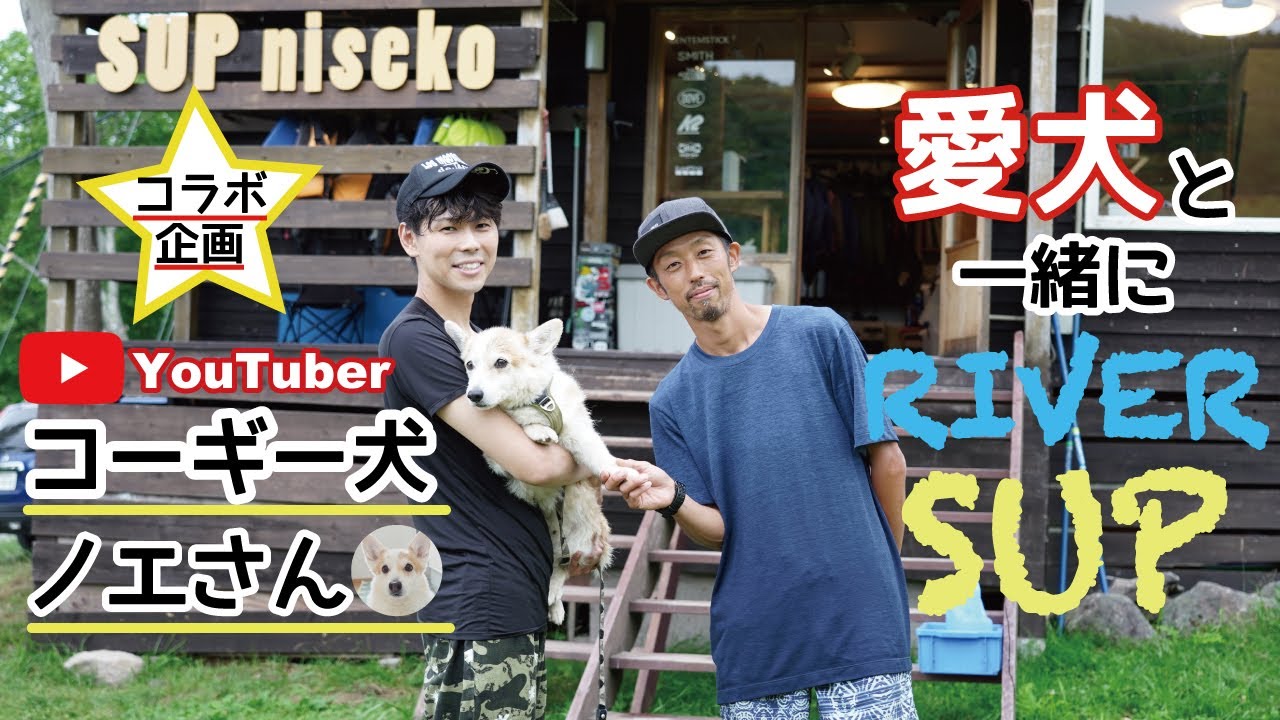 YouTuber コーギー犬ノエさんが４kmを下るRiver SUPに初挑戦！果たして無事ゴールへ辿り着く事はできたのか？