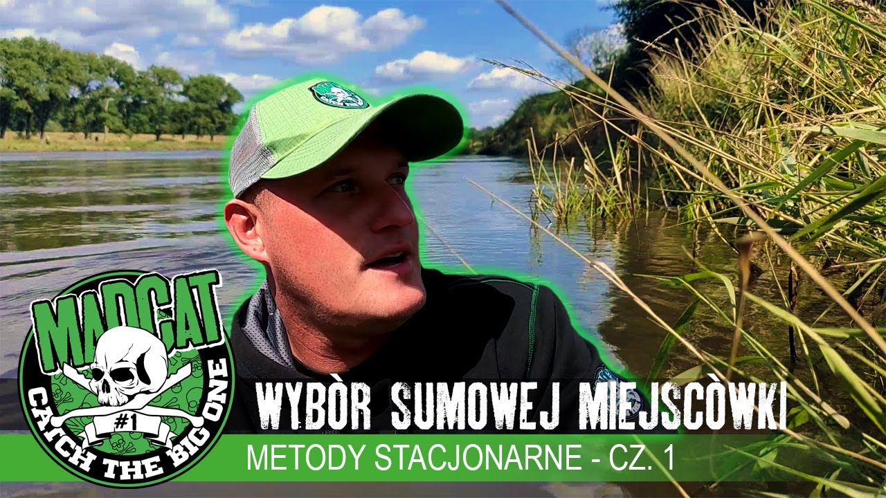 👀 WYBÓR SUMOWEJ MIEJSCÓWKI - METODY STACJONARNE CZ.1 | Poradnik #MADCAT