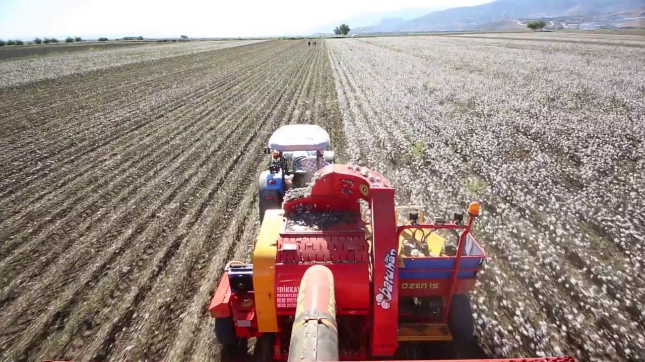 cotton harvesting machine