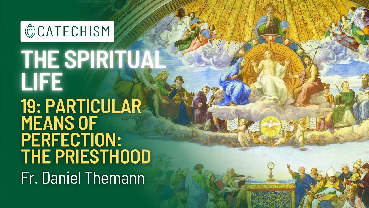 Particular Means: The Priesthood | The Spiritual Life #19 | Fr. Daniel Themann