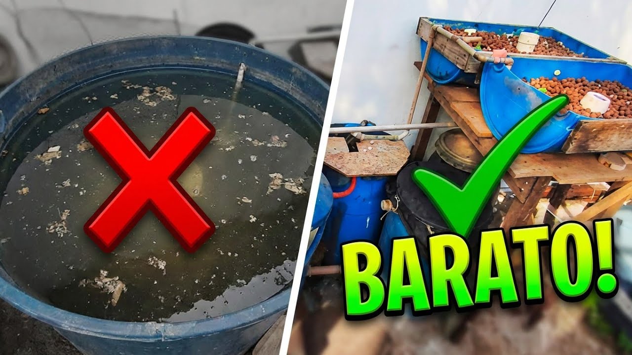 Como fazer um filtro biológico barato para criar peixe!