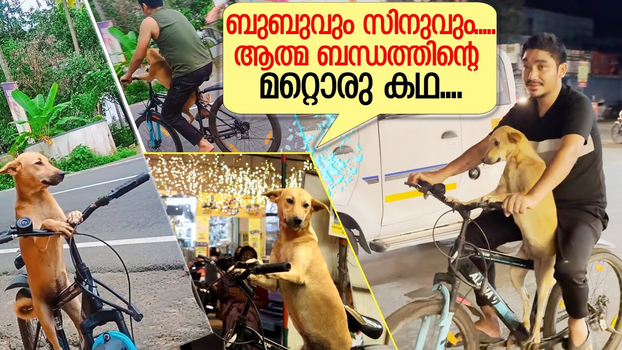 സോഷ്യൽ മീഡിയയിൽ തരംഗമായ നായ; ഇതു വല്ലാത്തൊരു കഥ   I   dog viral video