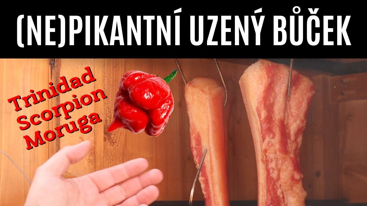(NE)PIKANTNÍ UZENÝ BŮČEK | Trinidad Scorpion Moruga Sirup | Z UDÍRNY #37