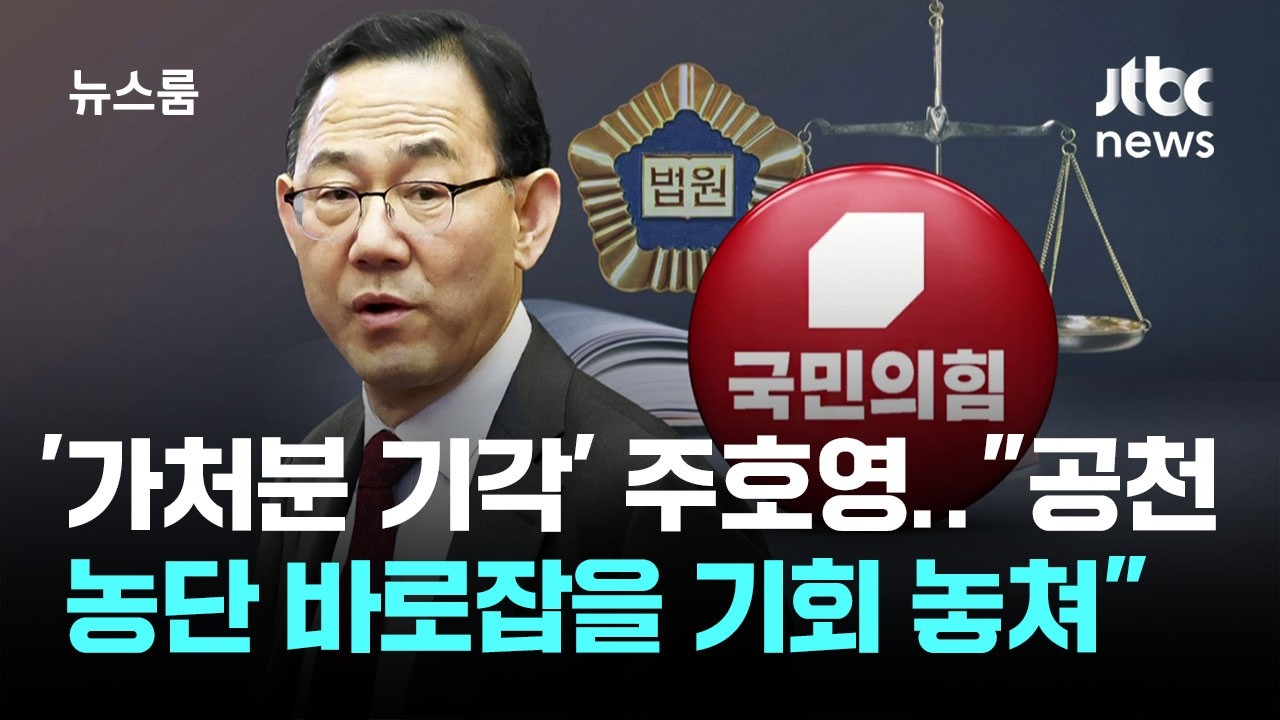 '가처분 기각' 주호영 