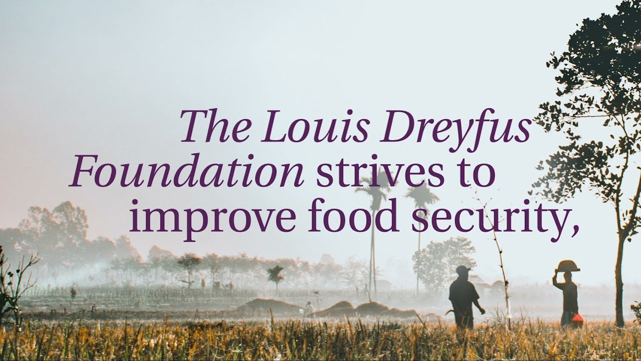 Louis Dreyfus Foundation - Our activities in 2020
