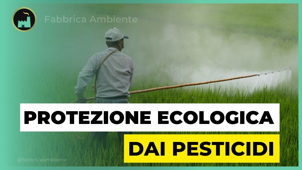 Inquinamento Da Pesticidi: La Cosa Ecologica Da Fare Subito Per Tutelare Il Cibo, La Salute E Le Api